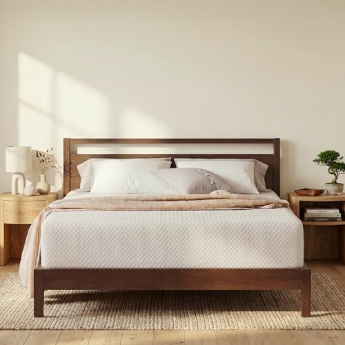 Kasur Queen, Kasur Ukuran Quee - Memory Foam Mattress In A Box Queen ulasan dan harga